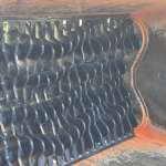 Separator TSC.154 zum Absieben von Oberboden Körnung 0-20/25mm Bagger ab 14t